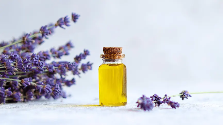 Benefits of Lavender Oil for Skin and Hair