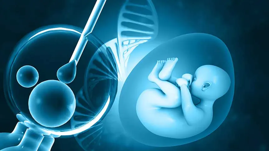 Tüp Bebek (IVF)Tedavisi Nedir?