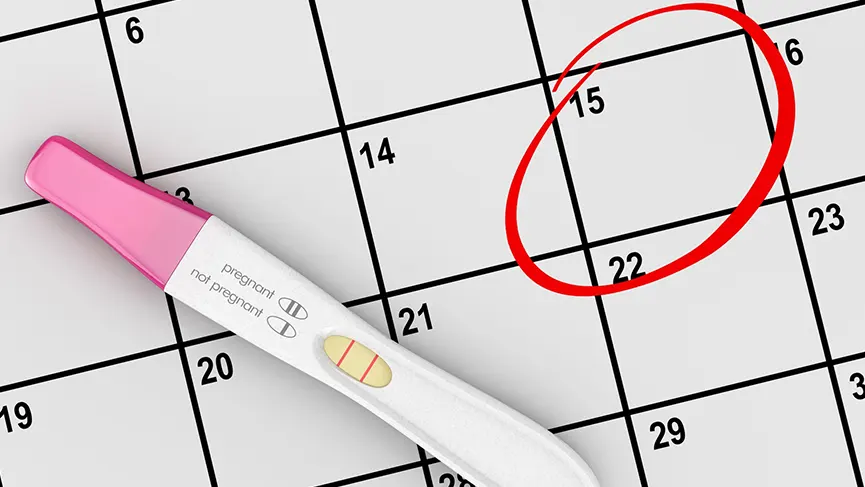 What is a Pregnancy Test?