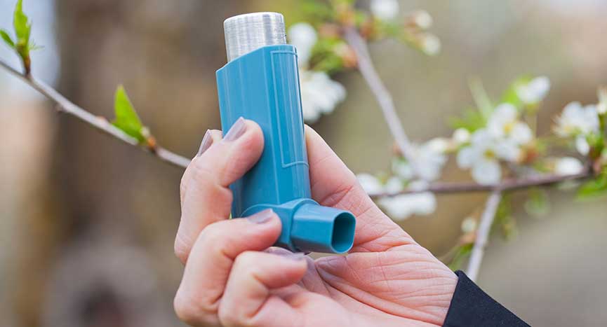 What Is Asthma? What are the Factors that Trigger Allergic Asthma?